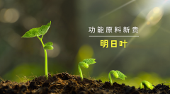 李時珍:明日葉含有類黃酮、膽堿、香豆素等多種活性成分